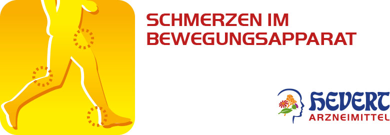 Schmerzen im Bewegungsapparat