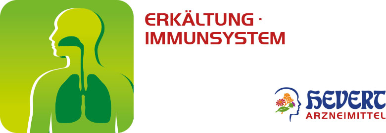 Erkältung Immunsystem