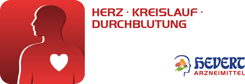 Herz - Kreislauf - Durchblutung