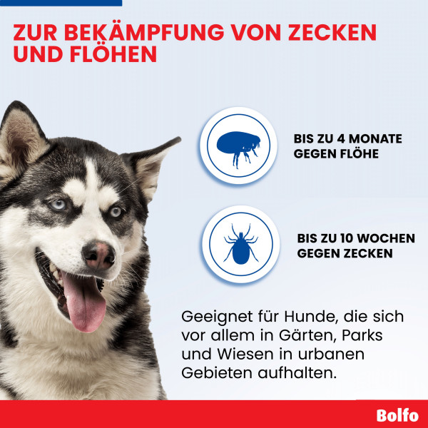 BOLFO Flohschutzband braun f.große Hunde