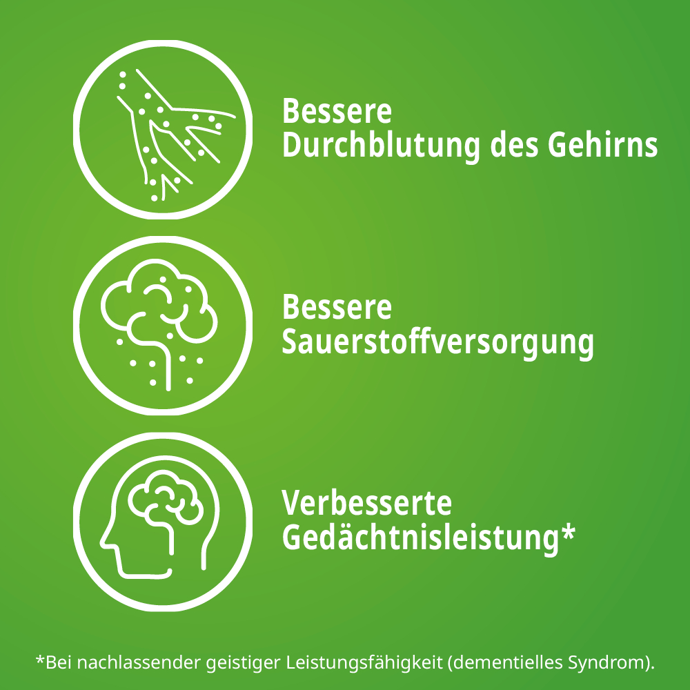 Gingium® 240 mg Filmtabletten Doppelpackung (2x120St)