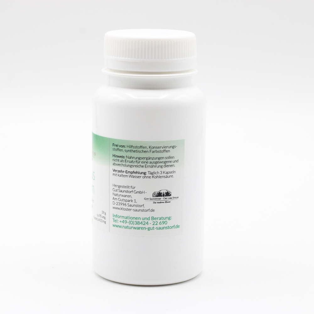 BAMBUS SILIZIUM f.Haut Knochen & Bindegewebe Kaps.