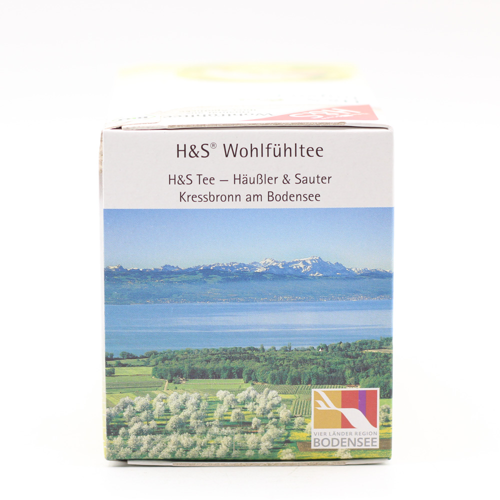 H&S Bio Ingwer Filterbeutel