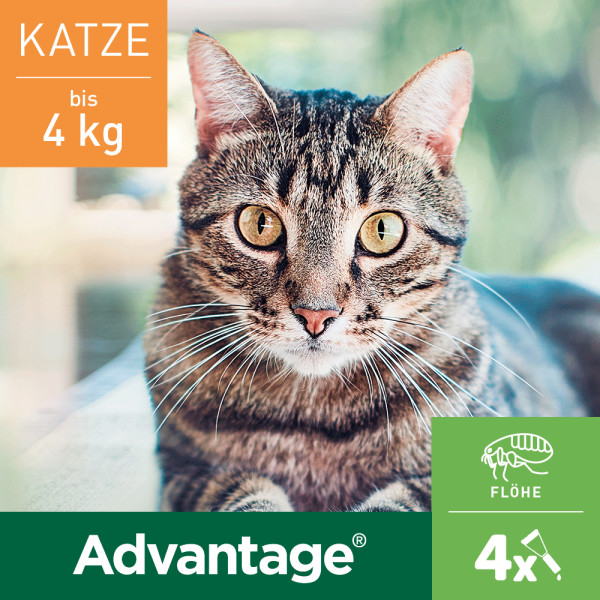 ADVANTAGE 40 mg Lsg.f.kl.Katzen/kl.Zierkaninchen