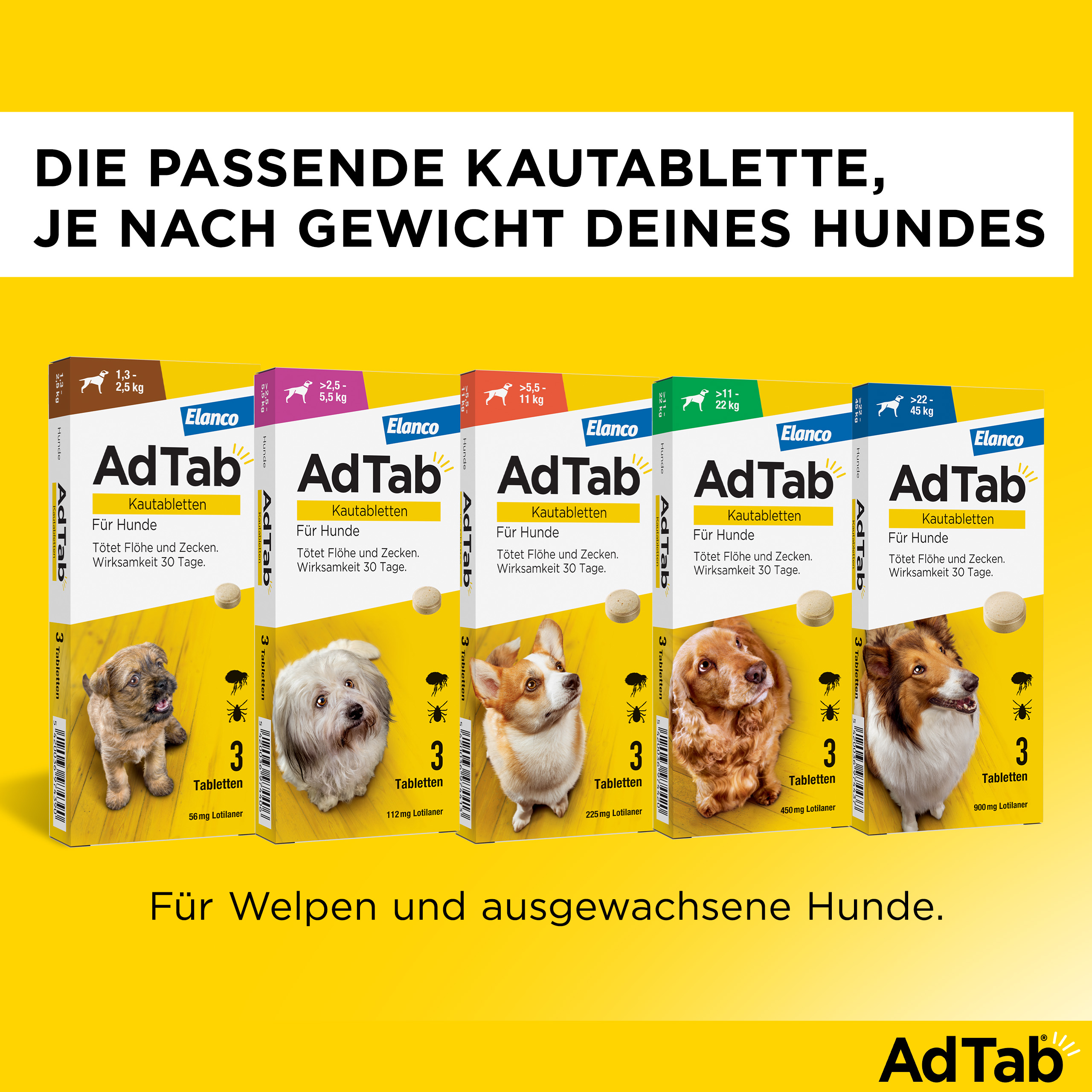 ADTAB 112 mg Kautabletten für Hunde >2,5—5,5 kg