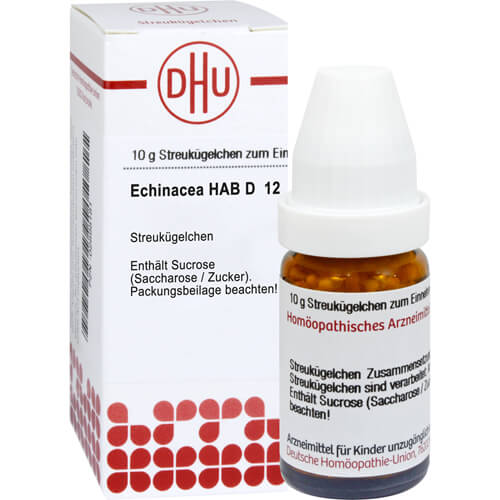 ECHINACEA HAB D 12 Globuli