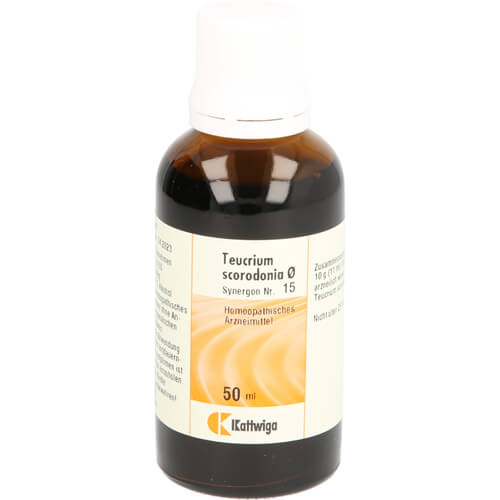 SYNERGON KOMPLEX 15 Teucrium Urtinktur