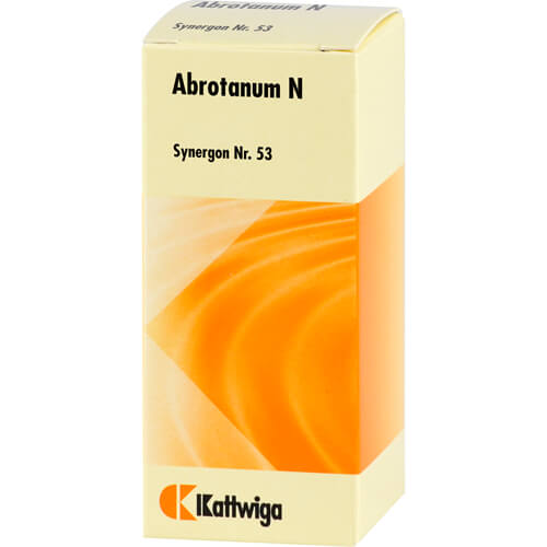 SYNERGON KOMPLEX 53 Abrotanum N Tabletten